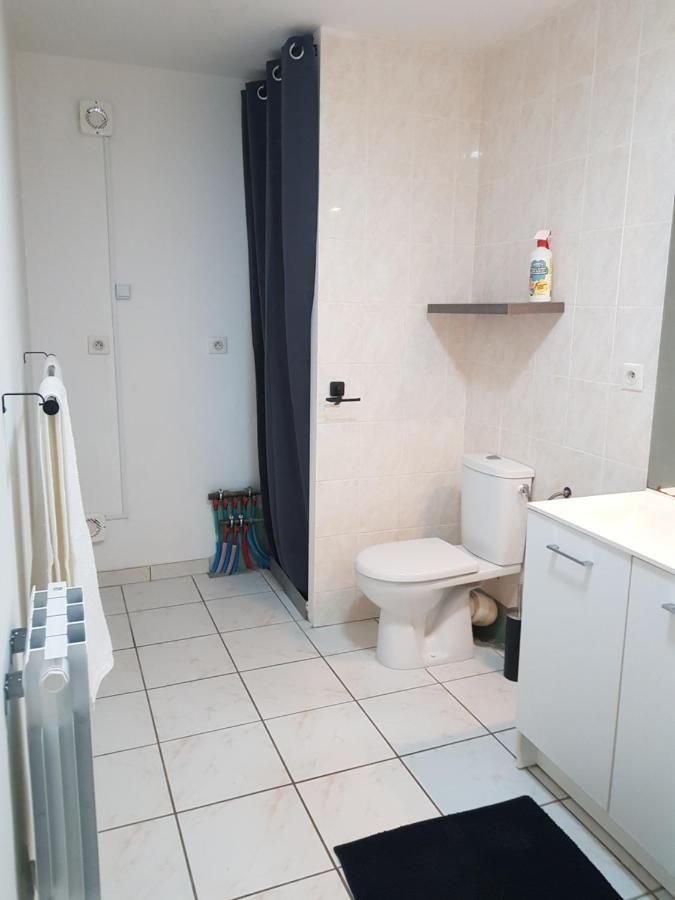 Chez Laiko Wifi Gratuit Villa Beaulieu-sur-Loire ภายนอก รูปภาพ