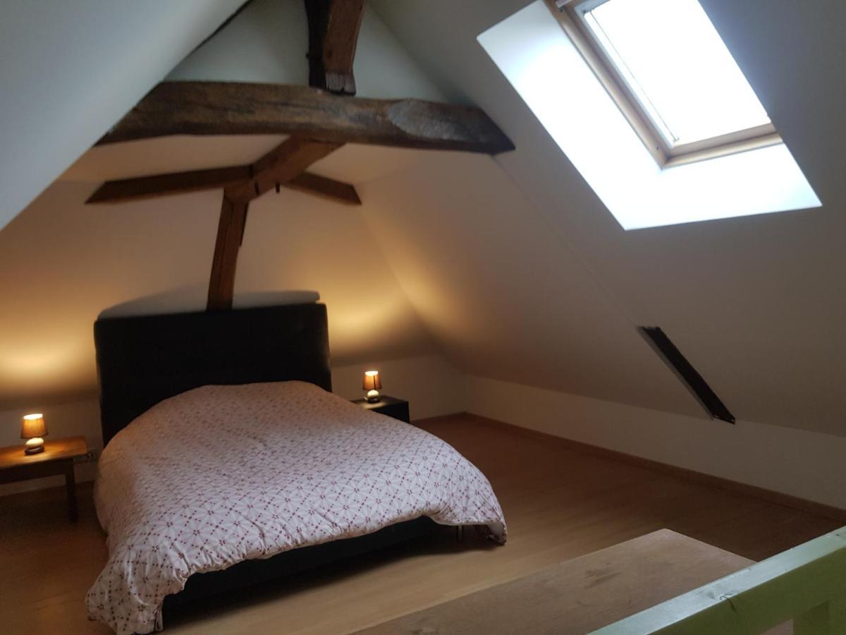 Chez Laiko Wifi Gratuit Villa Beaulieu-sur-Loire ภายนอก รูปภาพ